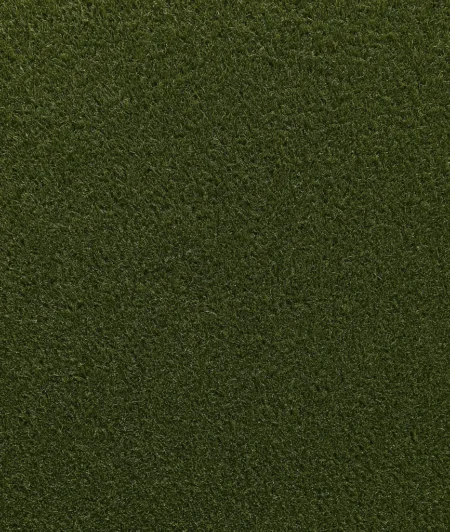 Standard CT Artificial Turf Sample