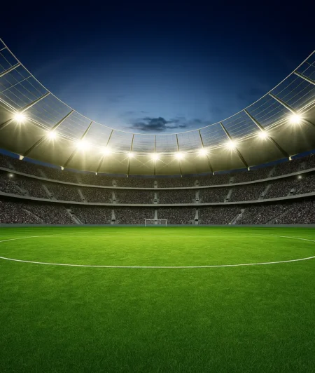 Standard FT Artificial Turf Football