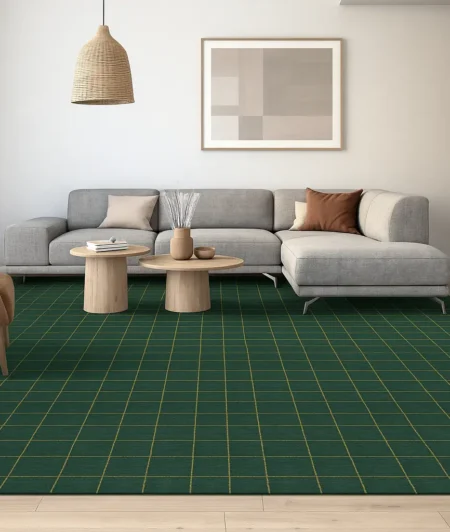 Risala Cera Hand Knotted Carpets In Livig Room