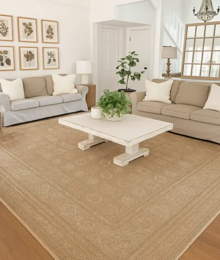 Risala Aalam Oriental Rugs In Living Room