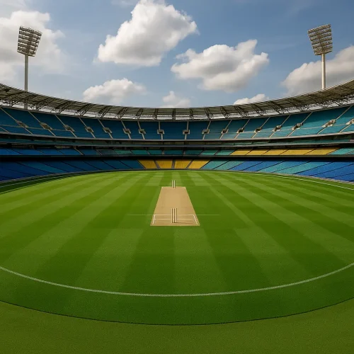 Cricket Artificial Turf