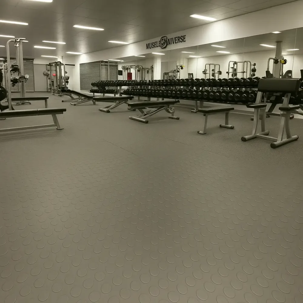 Dot NM Rubber Flooring In Fitness Centre