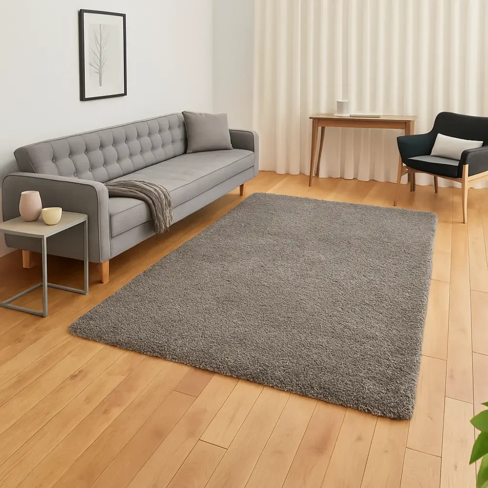 Shaggy Rugs for livingroom